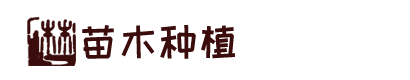 凯时kb88联系方式